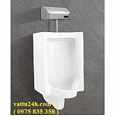 tieu-nam-treo-tuong-tt5-viglacera