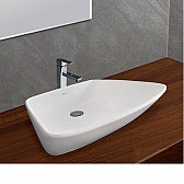 chau-rua-dat-ban-viglacera-cd17