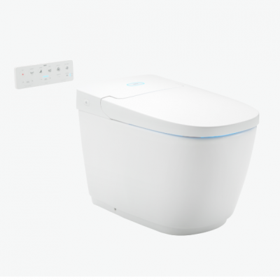 ban-cau-dien-tu-saras-ac-819vn